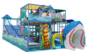 Metal Ocean Themed Indoor Playground with Slide With Slides