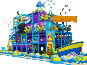 Metal Ocean Themed Indoor Playground with Slide With Ropes