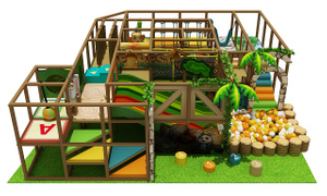 Mini Jungle Theme Indoor Playground for 3year Old with Slide